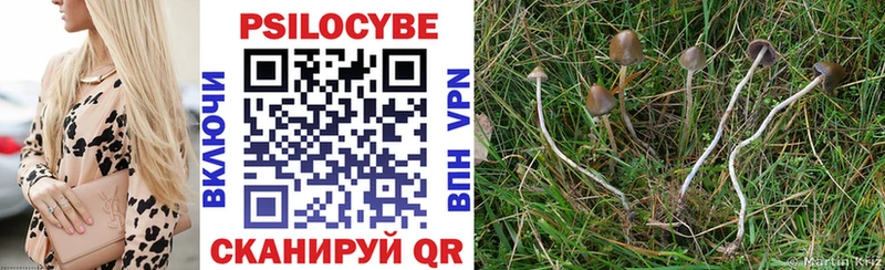 Псилоцибиновые грибы прущие грибы  Билибино 